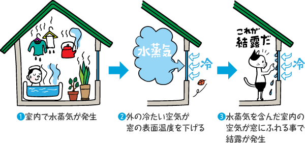 ❶室内で水蒸気が発生 ❷外の冷たい空気が窓の表面温度を下げる ❸水蒸気を含んだ室内の空気が窓にふれることで結露が発生