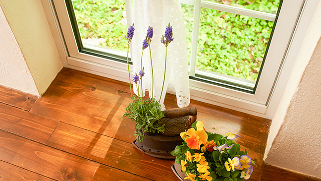 YKK APがお贈りするおトクな各種キャンペーン情報や各種イベント情報をご紹介します。キャンペーン情報のバナー画像です。