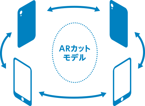 ARカットモデル