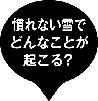 慣れない雪でどんなことが起こる？