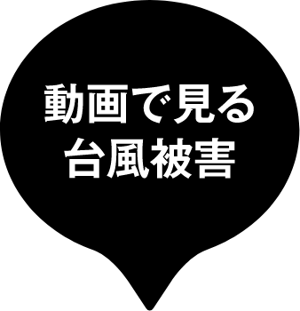 動画で見る台風被害