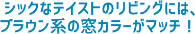 シックなテイストのリビングには、ブラウン系の窓カラーがマッチ!