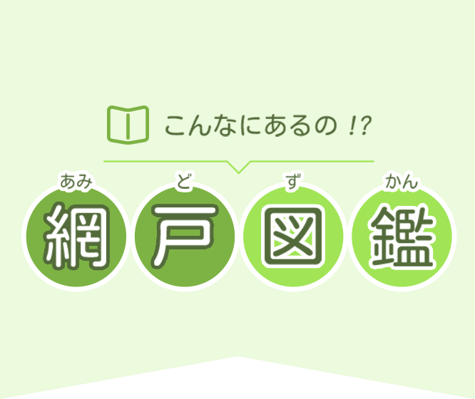 こんなにあるの！？網戸図鑑