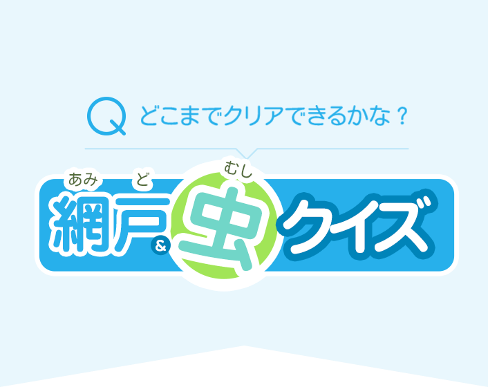 どこまでクリアできるかな？網戸＆虫クイズ