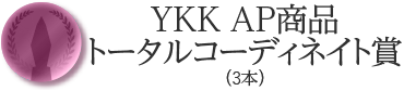 YKK AP商品トータルコーディネイト賞（3本）