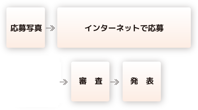応募写真⇒インターネットで応募⇒一般投票審査⇒審査⇒発表