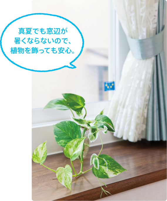 写真）真夏でも窓辺が暑くならないので、植物を飾っても安心。