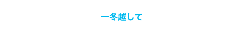 写真）一冬越して。