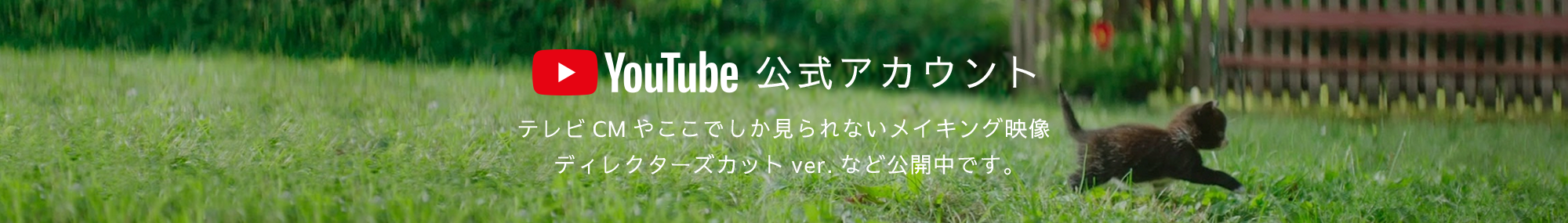 YouTube公式アカウント テレビCMやここでしか見られないメイキング映像 ディレクターズカットver.など公開中です。