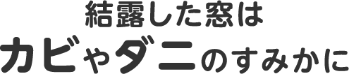 結露した窓はカビやダニのすみかに