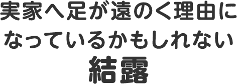 実家へ足が遠のく理由になっているかもしれない結露