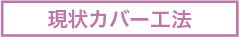 現状カバー工法