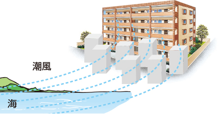 周りに高い建物が少ない内陸部